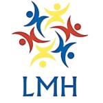 Liga Metropolitana de Handebol